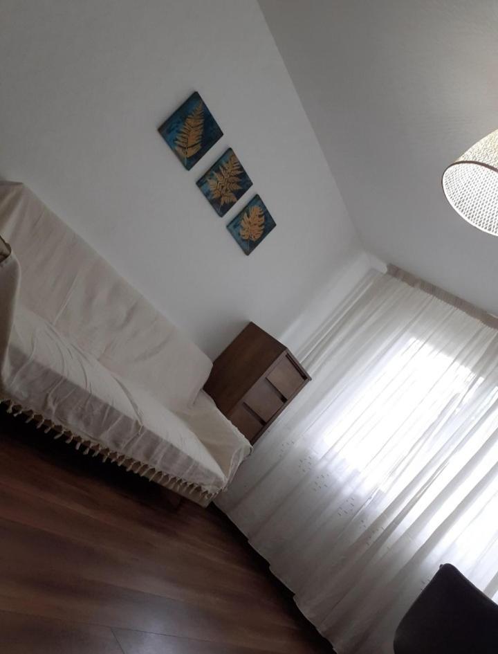 Silene Studio Craiova Exteriér fotografie